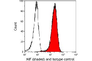 Flow Cytometry (FACS) image for anti-Macrophage Migration Inhibitory Factor (Glycosylation-Inhibiting Factor) (MIF) (AA 2-115) antibody (ABIN7449455)