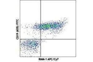 Flow Cytometry (FACS) image for Rat anti-Mouse IgM antibody (APC-Cy7) (ABIN2667082)