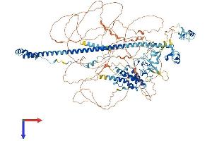 TRIM33 Protein (AA 1-1127) (His tag)