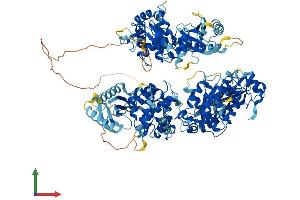 Protein Structure (PS) image for 2'-5' Oligoadenylate Synthetase 3 (OAS3) (AA 1-1138) protein (His tag) (ABIN7564771)