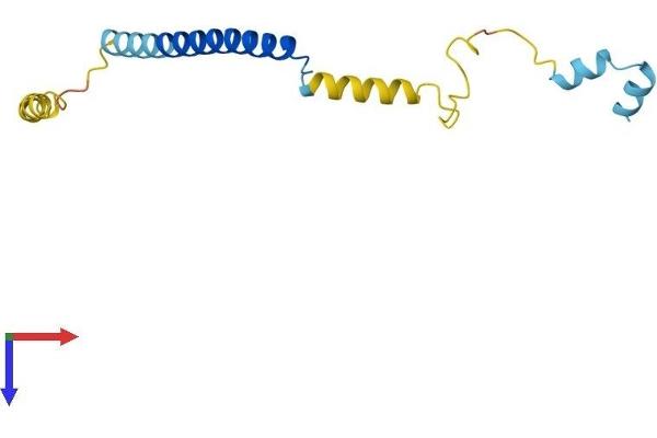 Complexin 1 Protein (CPLX1) (AA 1-134) (His tag)
