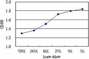 Sandwich ELISA detection sensitivity ranging from approximately 729x to 3x dilution of the SERPINA3 293T overexpression lysate (non-denatured).