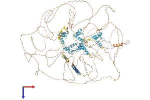 Sal-Like 3 (SALL3) (AA 1-1320) protein (His tag)