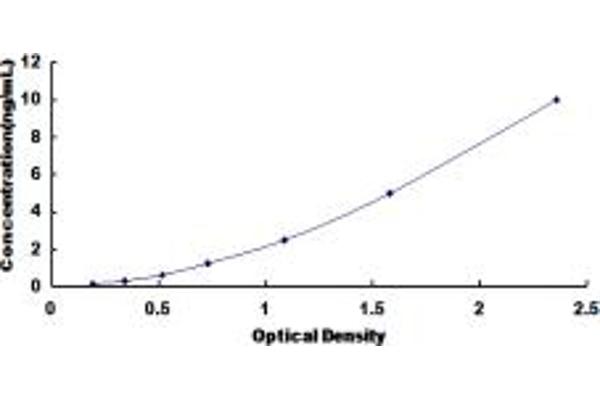 CTBS ELISA Kit