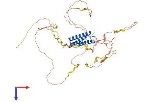 BAG4 Protein (AA 1-457) (His tag)