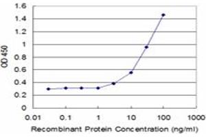 Detection limit for recombinant GST tagged CX3CR1 is approximately 3ng/ml as a capture antibody. (CX3CR1 Antikörper  (AA 1-36))