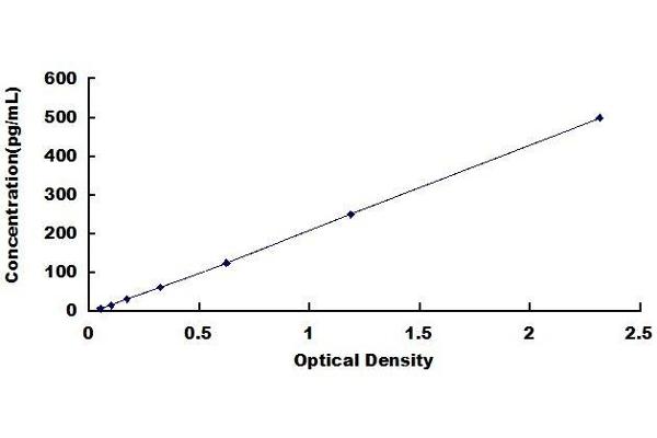 CNTF ELISA Kit