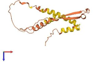AlphaFold protein structure predicition of Human Recombinant FAM182A Protein, UniprotID Q5T1J6