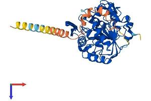 ST8SIA4 Protein (AA 1-359) (His tag)