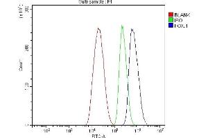Flow Cytometry analysis of HepG2 cells using anti-FOXJ1 antibody (ABIN7601015).
