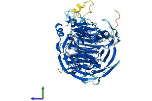 Protein Structure (PS) image for Cirrhosis, Autosomal Recessive 1A (Cirhin) (CIRH1A) (AA 1-686) protein (His tag) (ABIN7555982)