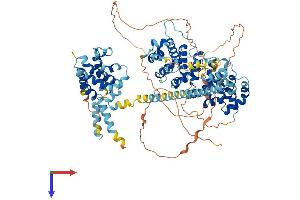 AlphaFold protein structure predicition of Mouse Recombinant Armc9 Protein, UniprotID Q9D2I5