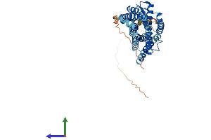 Protein Structure (PS) image for G Protein-Coupled Receptor 17 (GPR17) (AA 1-367) protein (His tag) (ABIN7548174)