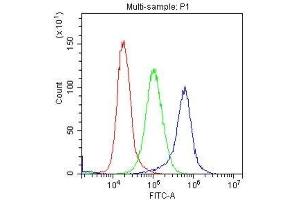 Flow Cytometry analysis of K562 cells using anti-C-Kit antibody .