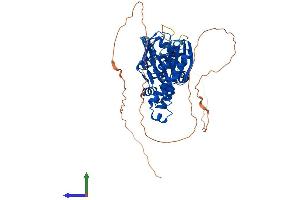Protein Structure (PS) image for Pantothenate Kinase 1 (PANK1) (AA 1-548) protein (His tag) (ABIN7559577)