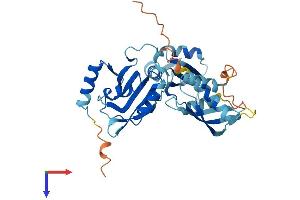 DND1 Protein (AA 1-353) (His tag)