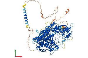 AlphaFold protein structure predicition of Human Recombinant TFR2 Protein, UniprotID Q9UP52 (Transferrin Receptor 2 Protein (TFR2) (AA 1-801) (His tag))