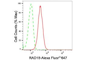 Flow cytometric analysis of RAD18 expression in H9c2 cells using RAD18 antibody (ABIN7798420), 1:2,000). (Rekombinanter RAD18 Antikörper)