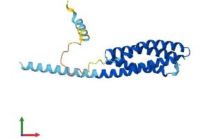 Protein Structure (PS) image for Transmembrane Protein 17 (TMEM17) (AA 1-198) protein (His tag) (ABIN7544537)