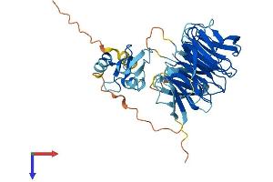 NHLRC1 Protein (AA 1-401) (His tag)