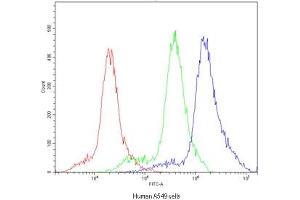 Flow cytometry testing of human A549 cells with POR antibody at 1ug/10^6 cells (blocked with goat sera)