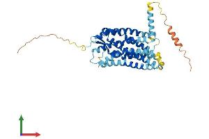 Protein Structure (PS) image for Chemokine (C-C Motif) Receptor 6 (CCR6) (AA 1-367) protein (His tag) (ABIN7562398)