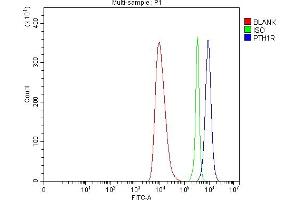 Flow Cytometry analysis of HEL cells using anti-Parathyroid Hormone Receptor 1/PTH1R antibody (ABIN7599639). (PTH1R Antikörper  (AA 102-446))