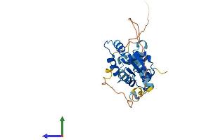 Protein Structure (PS) image for E74-Like Factor 5 (Ets Domain Transcription Factor) (ELF5) (AA 1-253) protein (His tag) (ABIN7559862)