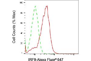 Flow cytometric analysis of IRF8 expression in Raji cells using IRF8 antibody (ABIN7799089), 1:2,000). (Rekombinanter IRF8 Antikörper)