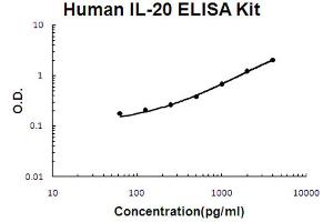 Human IL-20 Accusignal ELISA Kit Description Human IL-20 AccuSignal ELISA Kit standard curve. (IL-20 ELISA Kit)