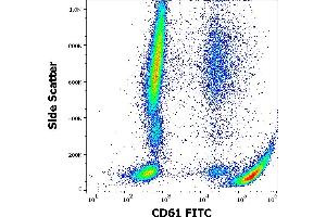 Flow cytometry surface staining pattern of human peripheral whole blood stained using anti-human CD61 (VIPL2) FITC antibody (4 μL reagent / 100 μL of peripheral whole blood). (Integrin beta 3 Antikörper  (FITC))