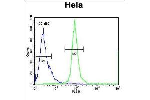 Flow cytometric analysis of Hela cells (right histogram) compared to a negative control cell (left histogram). (ESCO2 Antikörper  (AA 132-161))