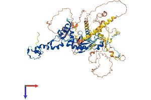 FBXO30 Protein (AA 1-746) (His tag)