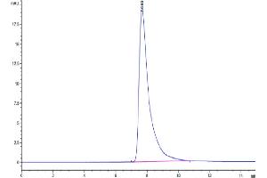 Size-exclusion chromatography-High Pressure Liquid Chromatography (SEC-HPLC) image for EPH Receptor A2 (EPHA2) (AA 26-538) protein (His tag) (ABIN7274563)