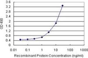 Sandwich ELISA detection sensitivity ranging from 0.