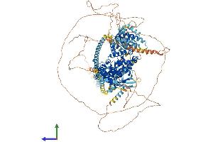 Protein Structure (PS) image for TBC1 Domain Family, Member 4 (TBC1D4) (AA 1-1307) protein (His tag) (ABIN7564465)