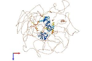 SHANK2 Protein (AA 1-1476) (His tag)