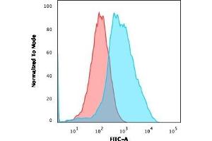 Flow Cytometric Analysis of PFA-fixed MCF-7 cells using Ubiquitin-Monospecific Mouse Monoclonal Antibody (UBB/1748) followed by goat anti-Mouse IgG-CF488 (Blue); Isotype Control (Red). (Ubiquitin B Antikörper  (AA 1-119))