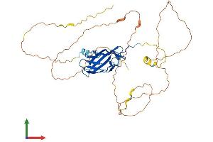 Protein Structure (PS) image for Runt-Related Transcription Factor 3 (RUNX3) (AA 1-415) protein (His tag) (ABIN7551588)