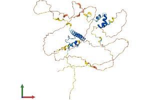 Protein Structure (PS) image for Doublesex and Mab-3 Related Transcription Factor 3 (DMRT3) (AA 1-476) protein (His tag) (ABIN7558399)