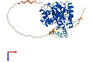 KCNAB3 Protein (AA 1-404) (His tag)