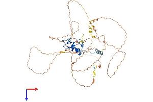 RNF38 Protein (AA 1-515) (His tag)
