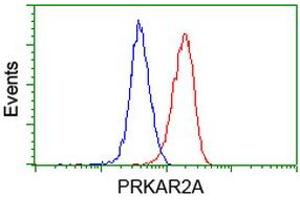 Image no. 2 for anti-Protein Kinase, CAMP-Dependent, Regulatory, Type II, alpha (PRKAR2A) antibody (ABIN1500254) (PRKAR2A Antikörper)