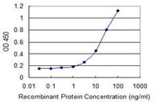 Detection limit for recombinant GST tagged NNAT is 0. (Neuronatin (NNAT) (AA 22-81) Antikörper)