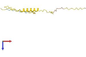 Protamine 3 (PRM3) (AA 1-101) protein (His tag)