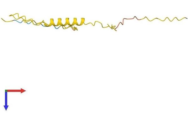 Protamine 3 (PRM3) (AA 1-101) protein (His tag)