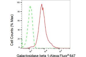 Flow cytometric analysis of Galactosidase beta 1 expression in HepG2 cells using Galactosidase beta 1 antibody (ABIN7798684), 1:2,000). (Rekombinanter GLB1 Antikörper)