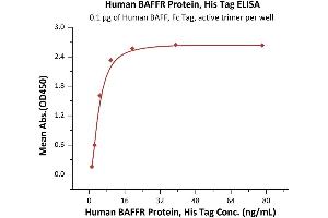 ELISA image for Tumor Necrosis Factor Receptor Superfamily, Member 13C (TNFRSF13C) (AA 7-71) (Active) protein (His tag) (ABIN7013842)