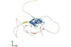 Protein Structure (PS) image for T-Box 5 (TBX5) (AA 1-518) protein (His tag) (ABIN7544198)