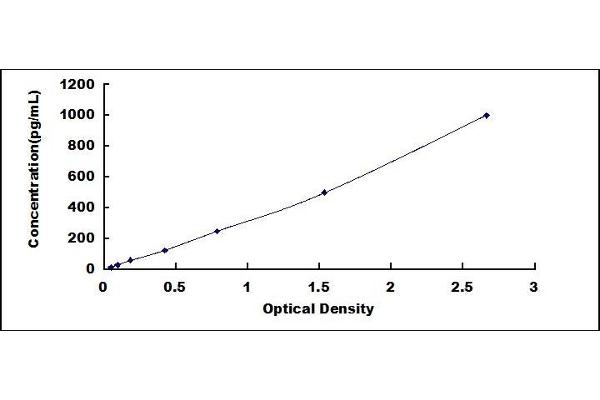 IFNA4 ELISA Kit